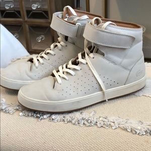 Lacoste high top sneakers